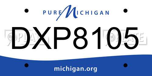 DXP8105 Michigan License Plate
