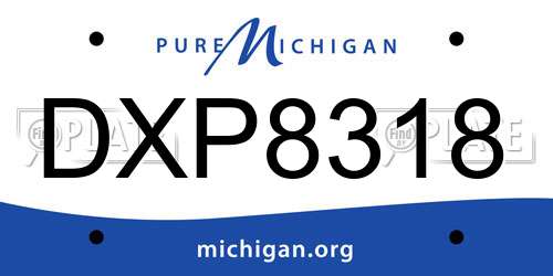 DXP8318 Michigan License Plate