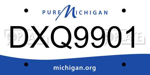DXQ9901 Michigan License Plate