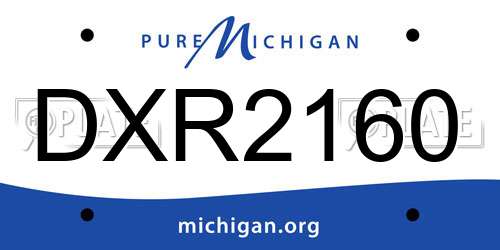 DXR2160 Michigan License Plate