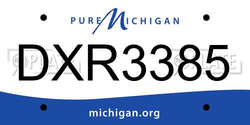 DXR3385 Michigan License Plate