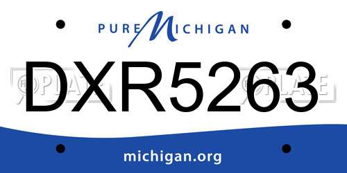 DXR5263 Michigan License Plate
