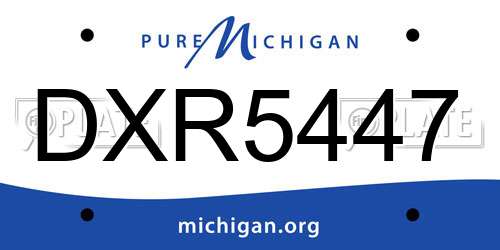 DXR5447 Michigan License Plate