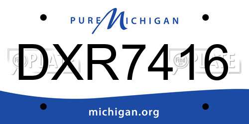 DXR7416 Michigan License Plate
