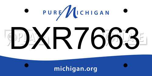 DXR7663 Michigan License Plate