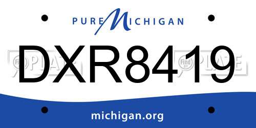 DXR8419 Michigan License Plate