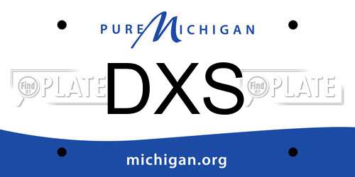 DXS Michigan License Plate