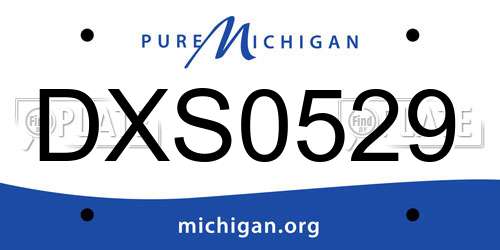 DXS0529 Michigan License Plate