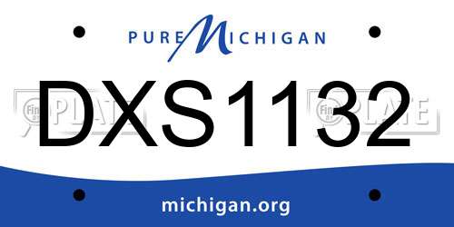 DXS1132 Michigan License Plate