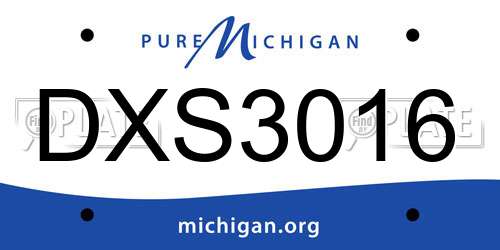 DXS3016 Michigan License Plate