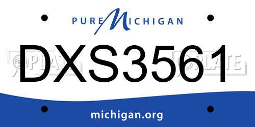 DXS3561 Michigan License Plate
