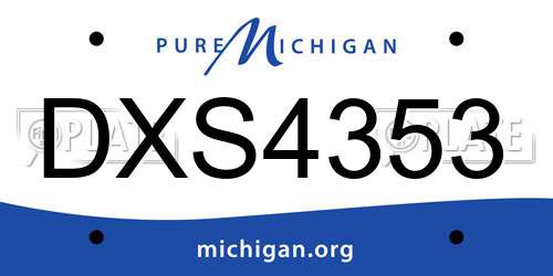 DXS4353 Michigan License Plate
