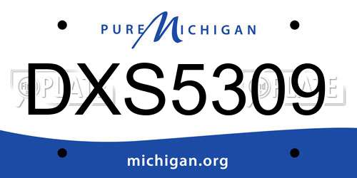 DXS5309 Michigan License Plate
