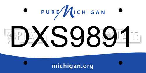 DXS9891 Michigan License Plate