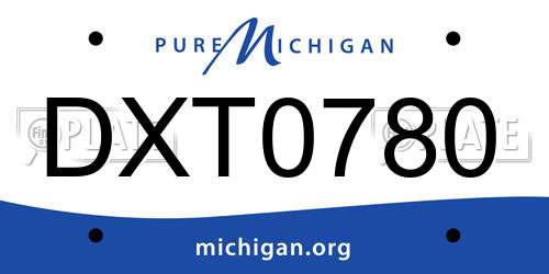 DXT0780 Michigan License Plate