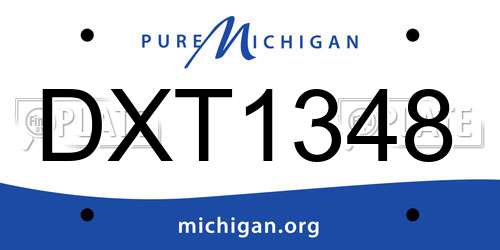 DXT1348 Michigan License Plate