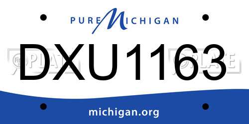 DXU1163 Michigan License Plate