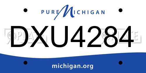 DXU4284 Michigan License Plate