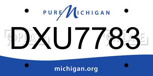 DXU7783 Michigan License Plate