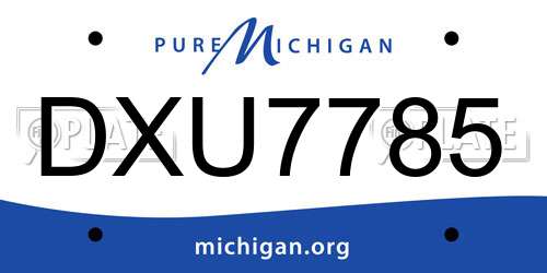 DXU7785 Michigan License Plate