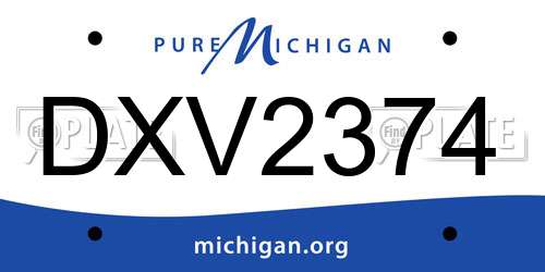DXV2374 Michigan License Plate