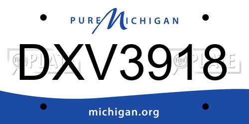 DXV3918 Michigan License Plate