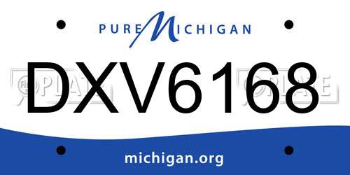 DXV6168 Michigan License Plate