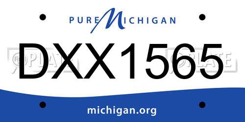 DXX1565 Michigan License Plate