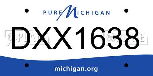 DXX1638 Michigan License Plate