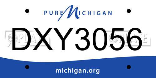 DXY3056 Michigan License Plate