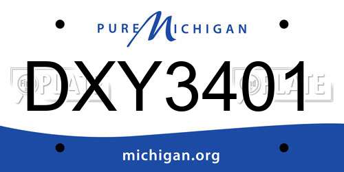 DXY3401 Michigan License Plate