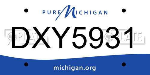 DXY5931 Michigan License Plate