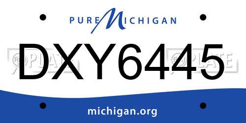 DXY6445 Michigan License Plate