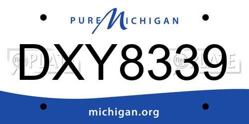 DXY8339 Michigan License Plate