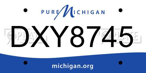 DXY8745 Michigan License Plate
