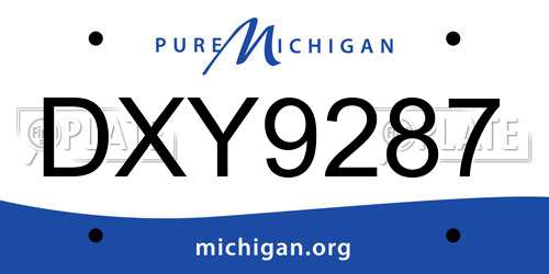 DXY9287 Michigan License Plate