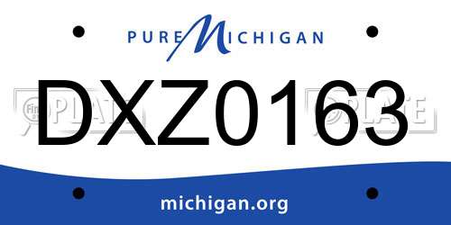 DXZ0163 Michigan License Plate