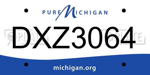 DXZ3064 Michigan License Plate