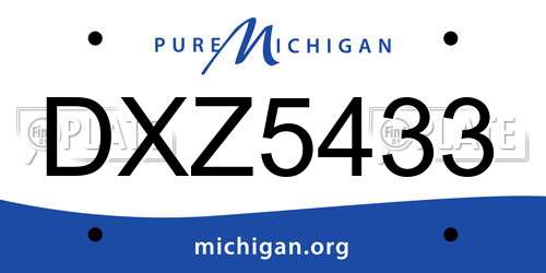 DXZ5433 Michigan License Plate