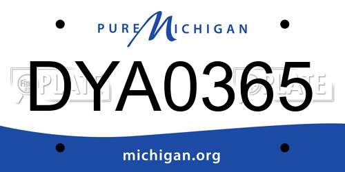 DYA0365 Michigan License Plate