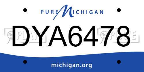 DYA6478 Michigan License Plate