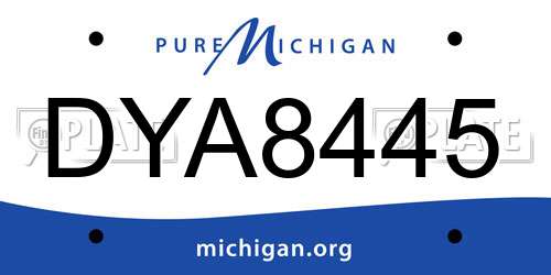 DYA8445 Michigan License Plate