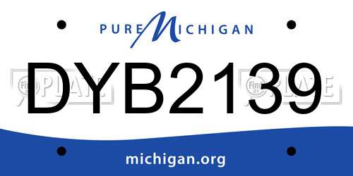 DYB2139 Michigan License Plate