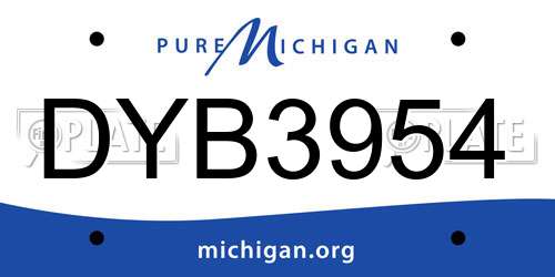 DYB3954 Michigan License Plate