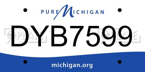 DYB7599 Michigan License Plate