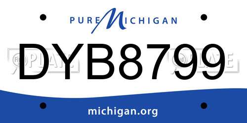 DYB8799 Michigan License Plate