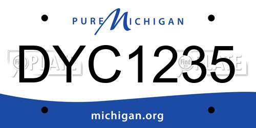 DYC1235 Michigan License Plate