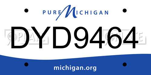 DYD9464 Michigan License Plate