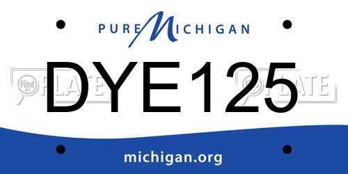 DYE125 Michigan License Plate