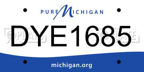 DYE1685 Michigan License Plate